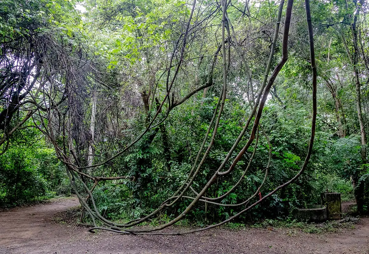 kanchanaburi-image-8